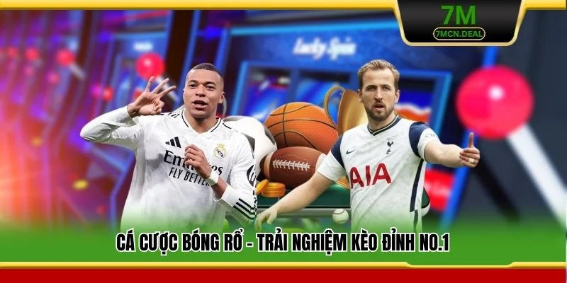 Hướng dẫn chi tiết cá cược bóng rổ cho thành viên